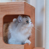 PETOMG Árbol para Gatos de Madera de Goma del Piso al Techo, sin Perforaciones, Altura Ajustable (230 cm - 280 cm)