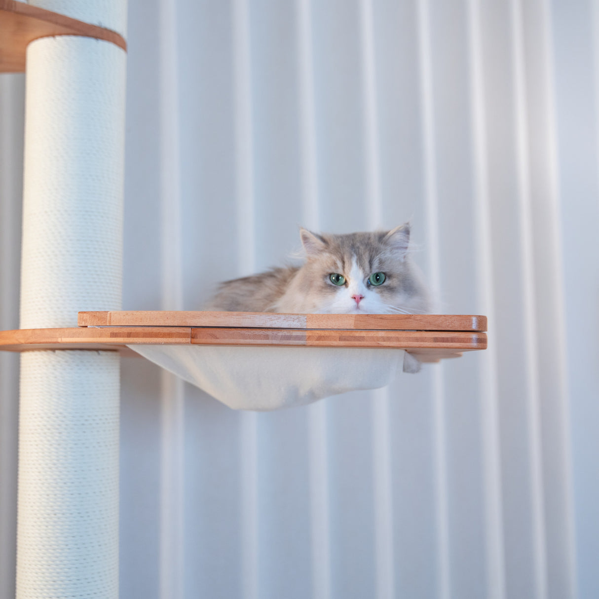 PETOMG Árbol para Gatos de Madera de Goma del Piso al Techo, sin Perforaciones, Altura Ajustable (230 cm - 280 cm)