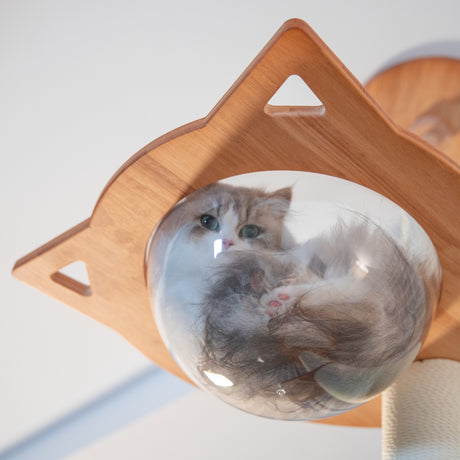 PETOMG Árbol para Gatos de Piso a Techo, Madera de Caucho, sin Perforaciones, Altura Ajustable (230 cm - 280 cm)