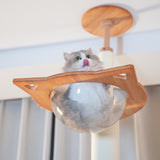 PETOMG Árbol para Gatos de Madera de Goma del Piso al Techo, sin Perforaciones, Altura Ajustable (230 cm - 280 cm)