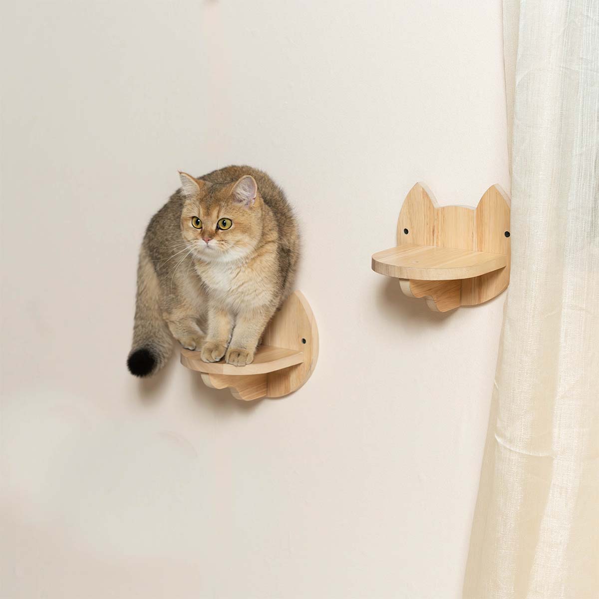 PETOMG Paseos para gatos, Muebles de pared para gatos, Montado en la pared para gatos | Juego de pared para gatos | Madera de caucho