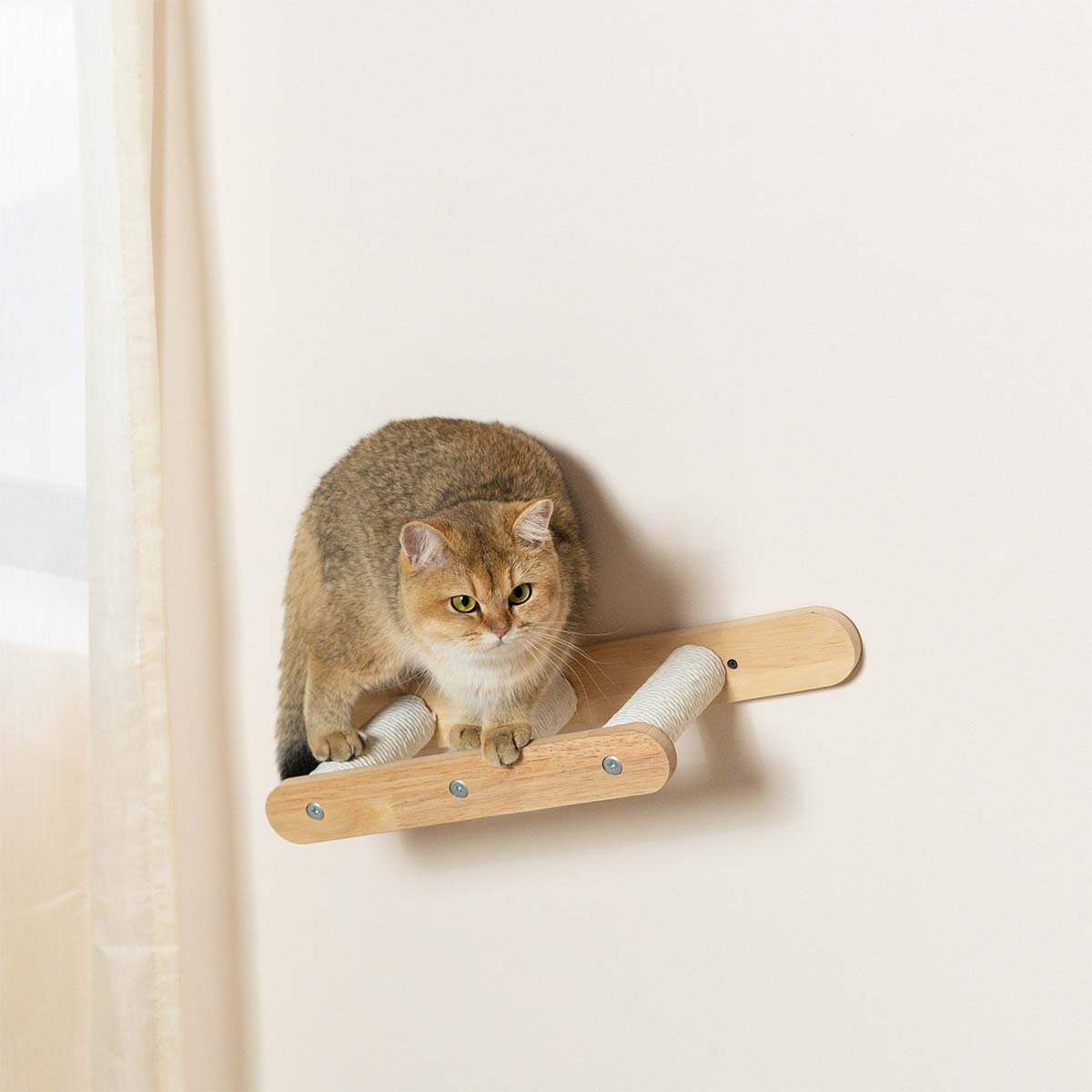 PETOMG Cat Shelf Wall, Cat Wall Furniture, Cat Ladder | Cat Wall Mounted Set | Rubberwood