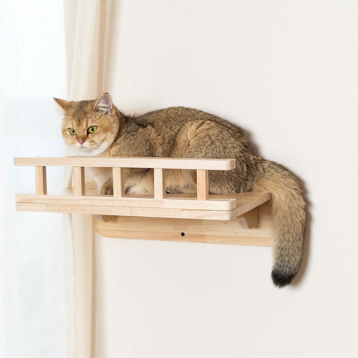 PETOMG Cat Shelves, Cat Wall Bed, DIY Cat Shelves | Cat Wall Mounted Set | Rubberwood