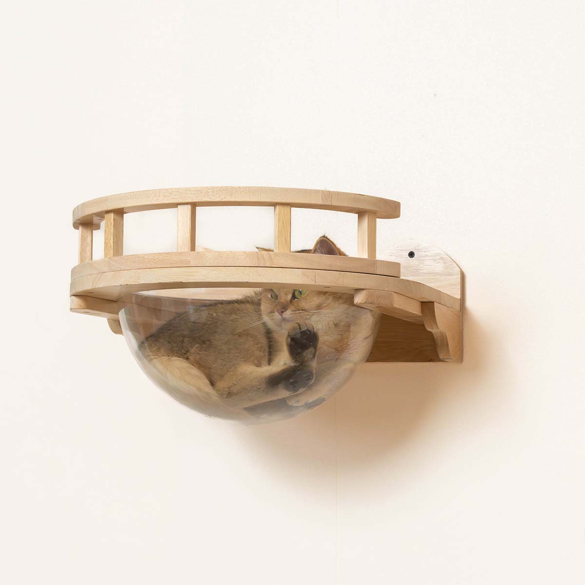 PETOMG Cat Shelves, Cat Wall Furniture, Cat Walks | Cat Wall Mounted Set | Rubberwood