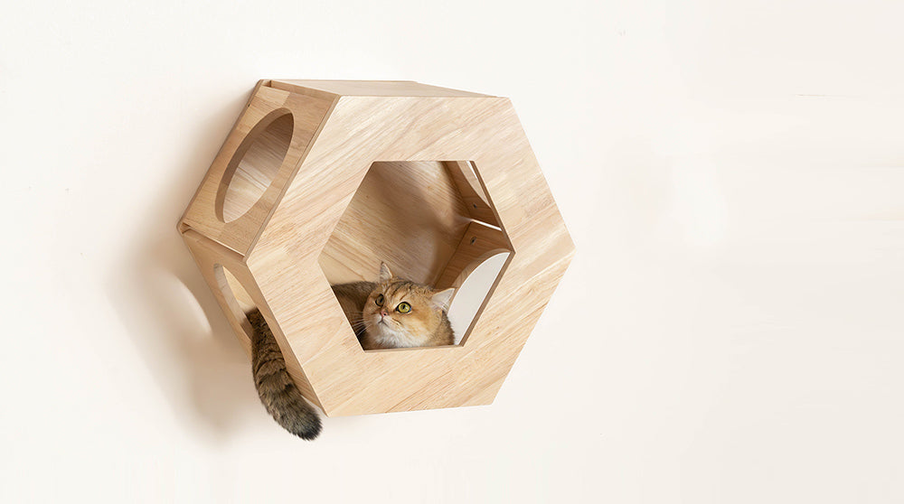 How to design your cat wall petomg