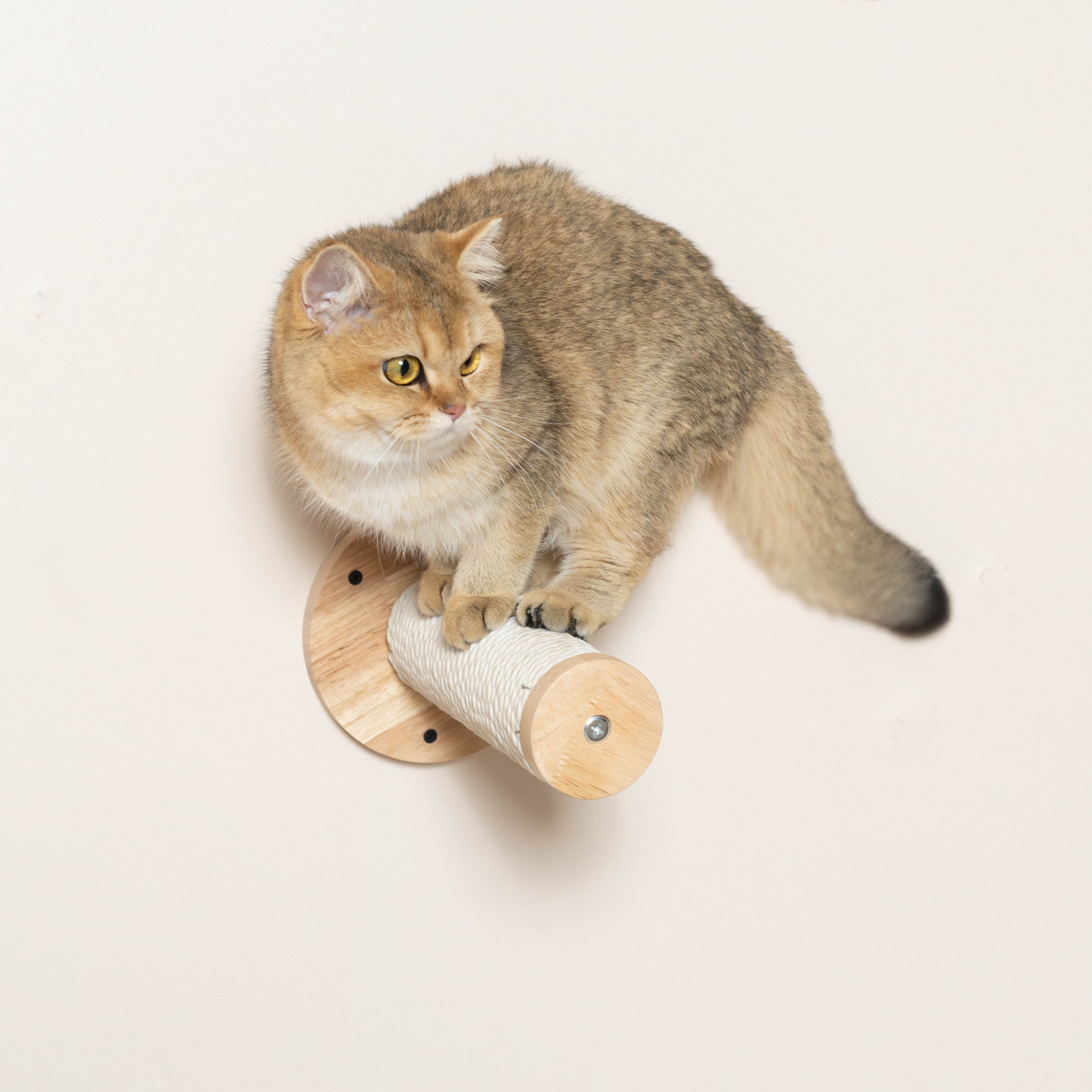How to design your cat wall petomg