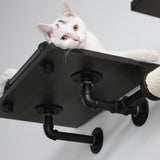 Modern Luxury Industrial Wall-Mounted Cat Climbing Set | Smoked Rubberwood | Anti-Slip & Durable