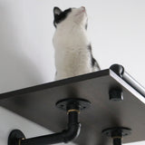 Modern Luxury Industrial Wall-Mounted Cat Climbing Set | Smoked Rubberwood | Anti-Slip & Durable