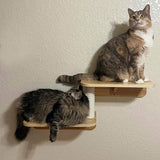 Hexagon Cat Shelf Set, Cat Wall Furniture for Large Cats | Rubber Wood