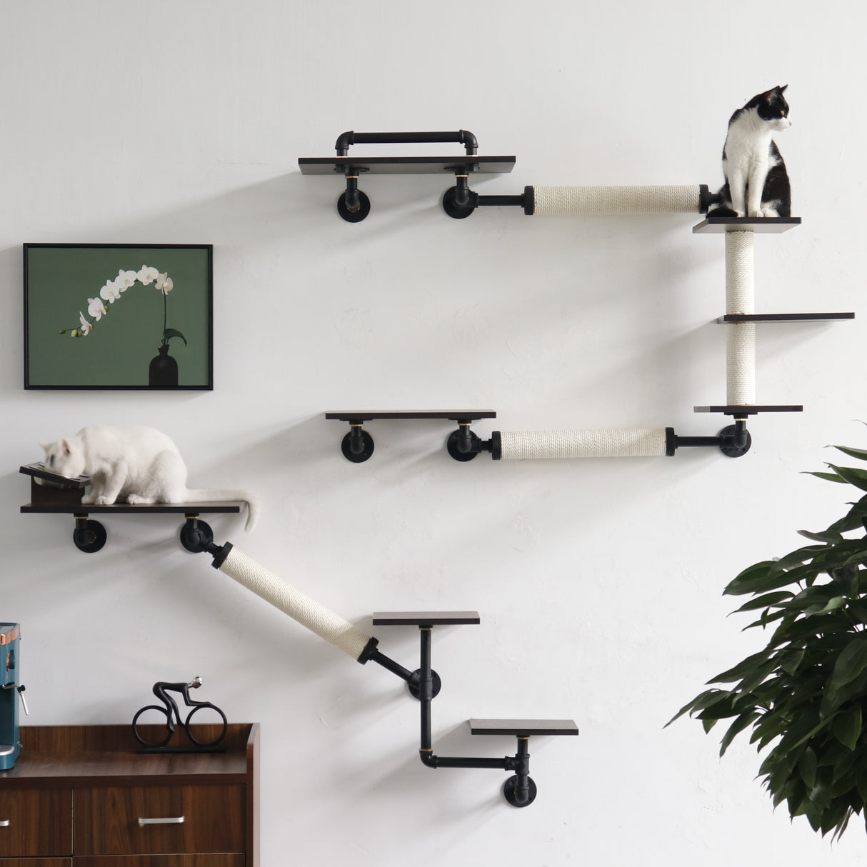 Modern Luxury Industrial Wall-Mounted Cat Climbing Set | Smoked Rubberwood | Anti-Slip & Durable