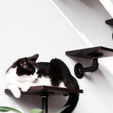 Wall-Mounted Cat Shelves(6PCS) | Eco-Friendly Smoky Rubber Wood