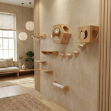 Hexagon Cat Shelf Set, Cat Wall Furniture for Large Cats | Rubber Wood