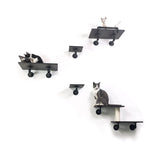 Modern Cat Climbing Wall Set