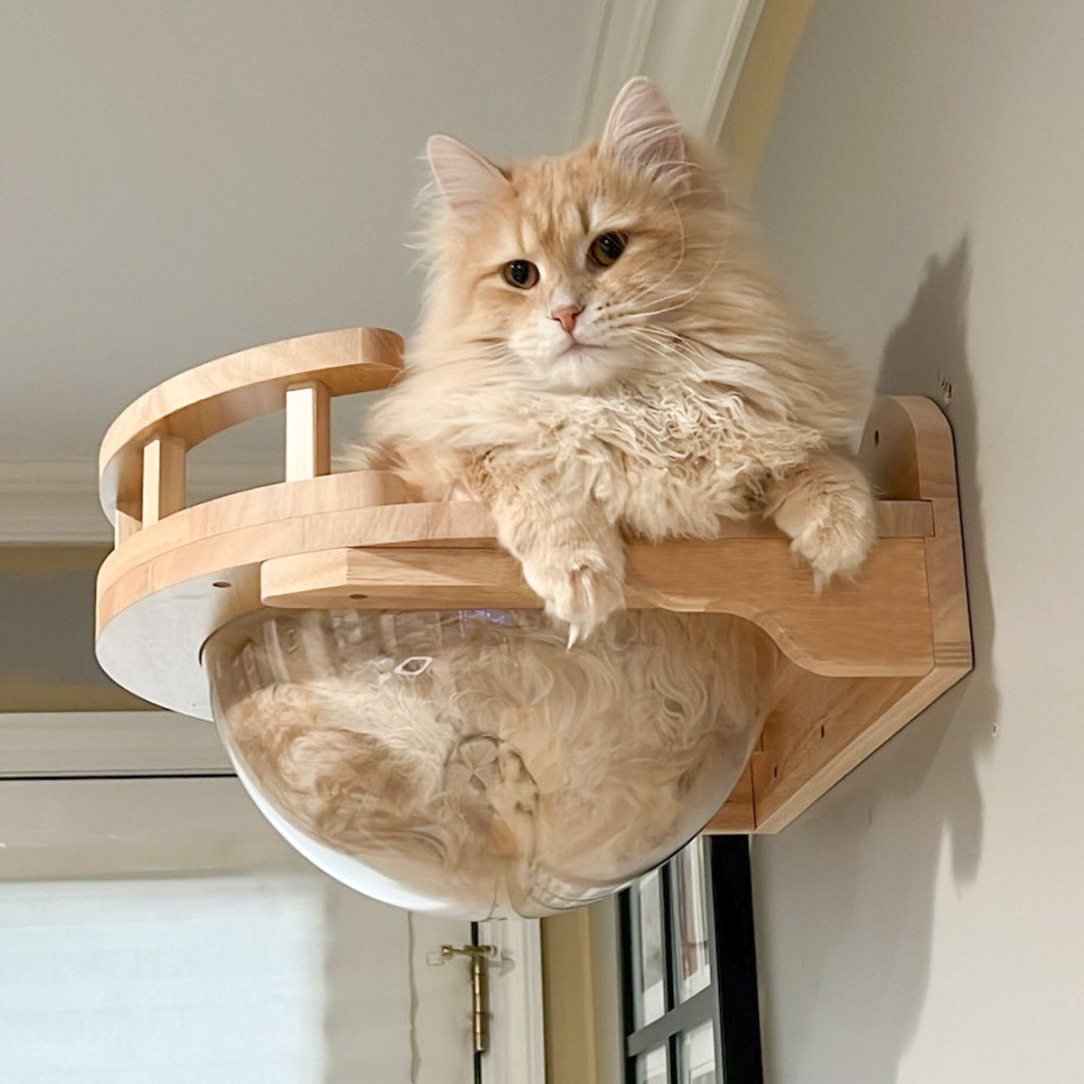 Cat feeder perch best sale