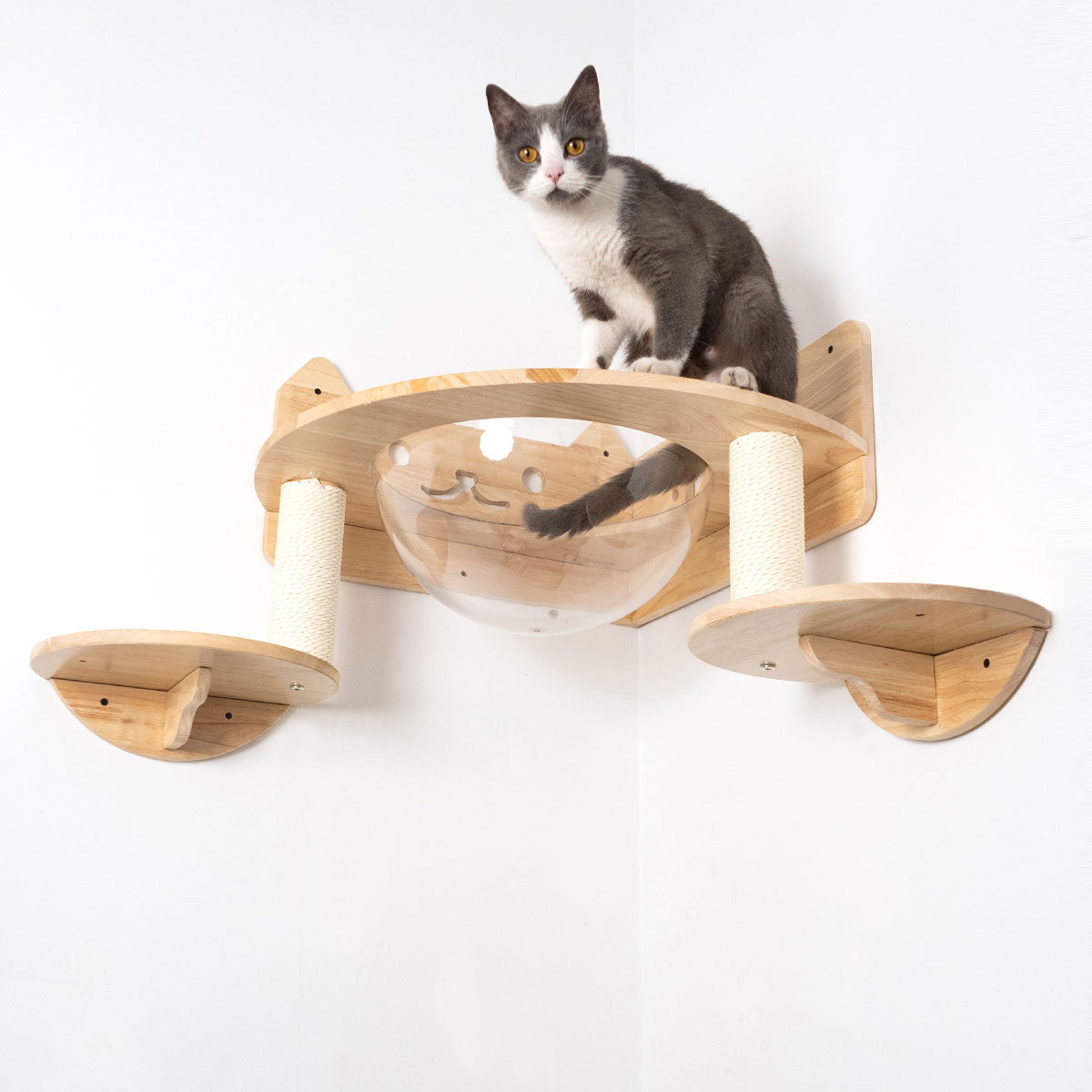 PETOMG Percha Grande para Gatos, Cama Grande de Pared para Gatos, Nave Espacial para Gatos | Madera de caucho