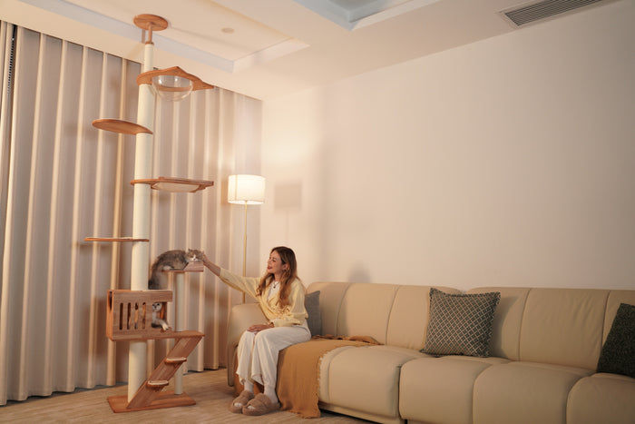 Adjustable, Modular Floor-to-Ceiling Cat Trees.