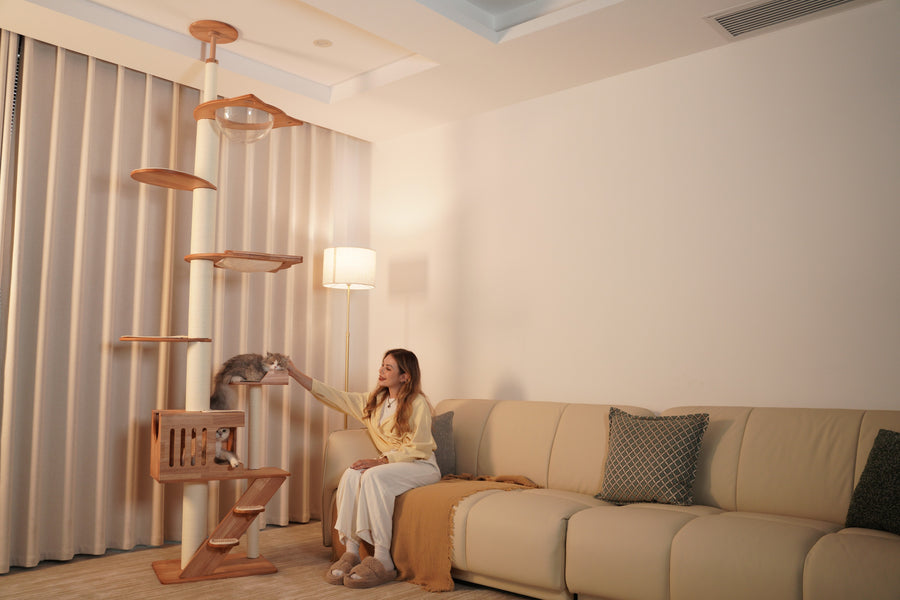 Adjustable, Modular Floor-to-Ceiling Cat Trees.