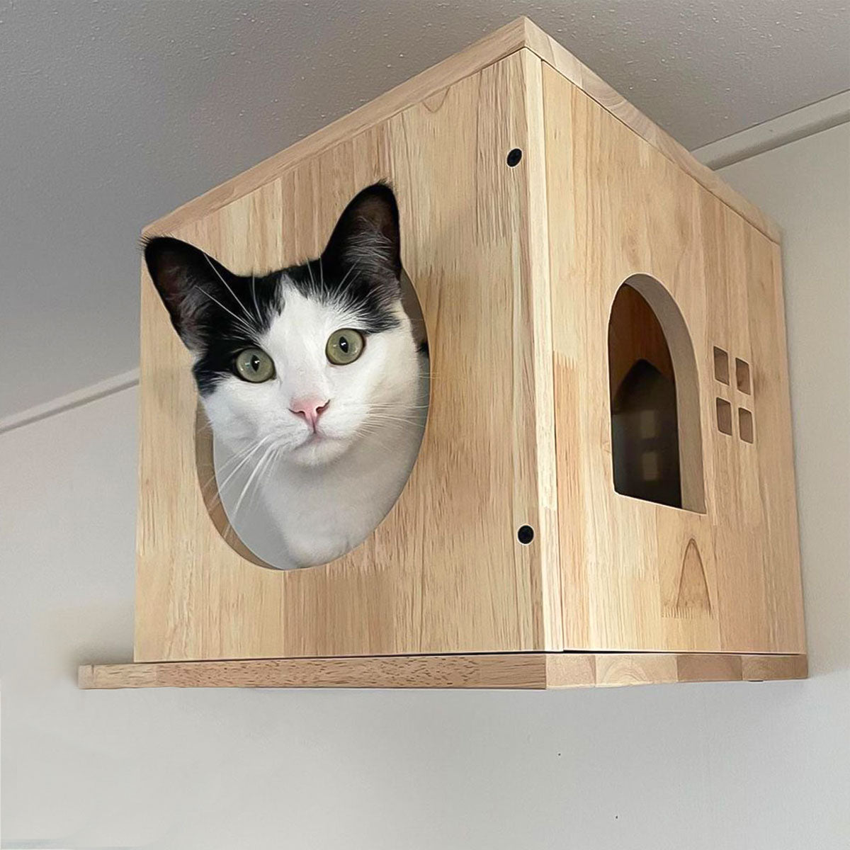 Hexagon Cat Shelf Set, Cat Wall Furniture for Large Cats | Rubber Wood