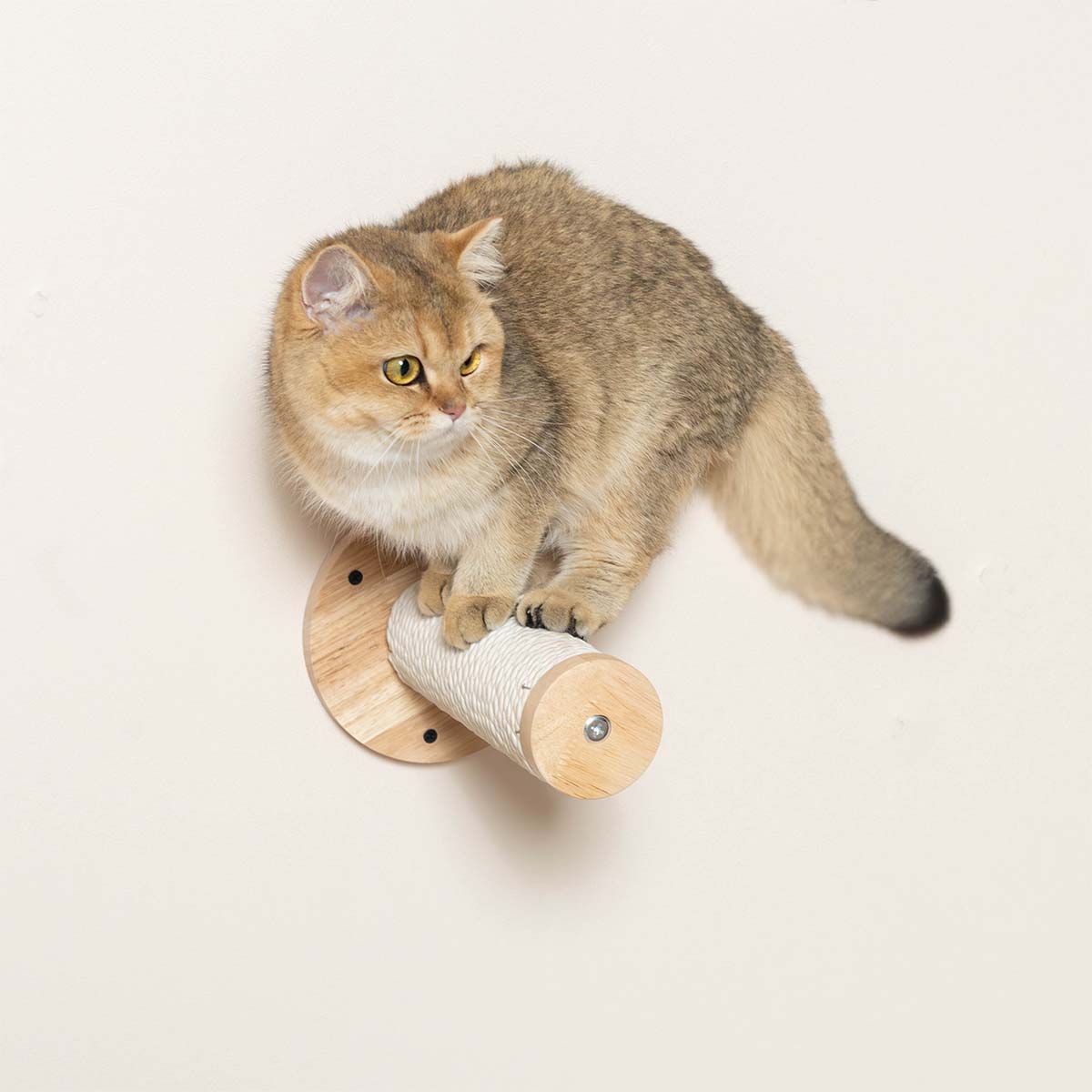 PETOMG Estantes para gatos, escaladores para pared, pared para gatos | Juego de pared para gatos | Madera de caucho