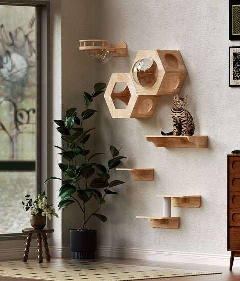 Wall-Mounted Aesthetic Cat Furniture | PETOMG Official Site – Petomg