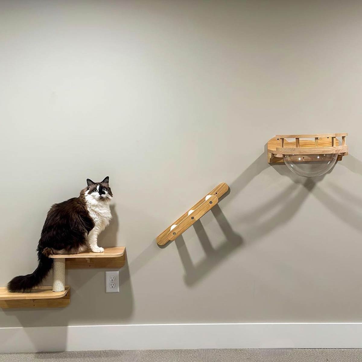 Juego de estantes para gatos, muebles de pared para gatos