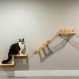 Cat Shelves Set, Cat Wall Furniture