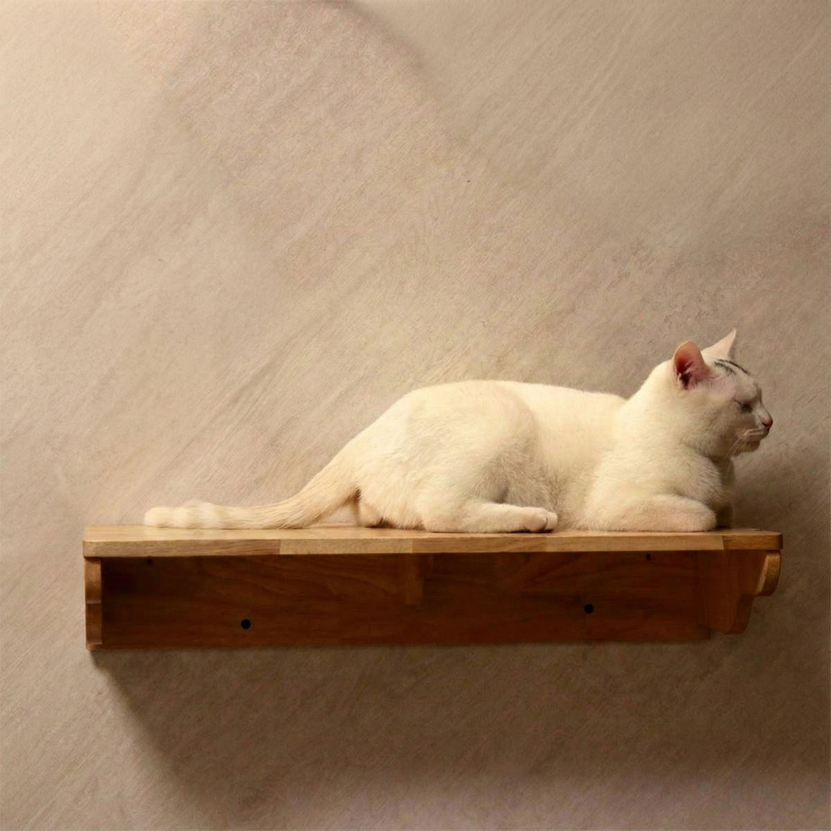 Hexagonal Wall-Mounted Cat Furniture Set | Stylish Modular Design | Sturdy Sisal Scratching Post | Ideal for Multi-Cat Homes