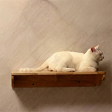 Hexagonal Wall-Mounted Cat Furniture Set | Stylish Modular Design | Sturdy Sisal Scratching Post | Ideal for Multi-Cat Homes