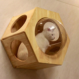 Hexagonal Wall-Mounted Cat Furniture Set | Stylish Modular Design | Sturdy Sisal Scratching Post | Ideal for Multi-Cat Homes