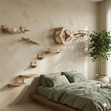 Hexagonal Wall-Mounted Cat Furniture Set | Modular Design with Transparent Domes | Perfect for Active Cats