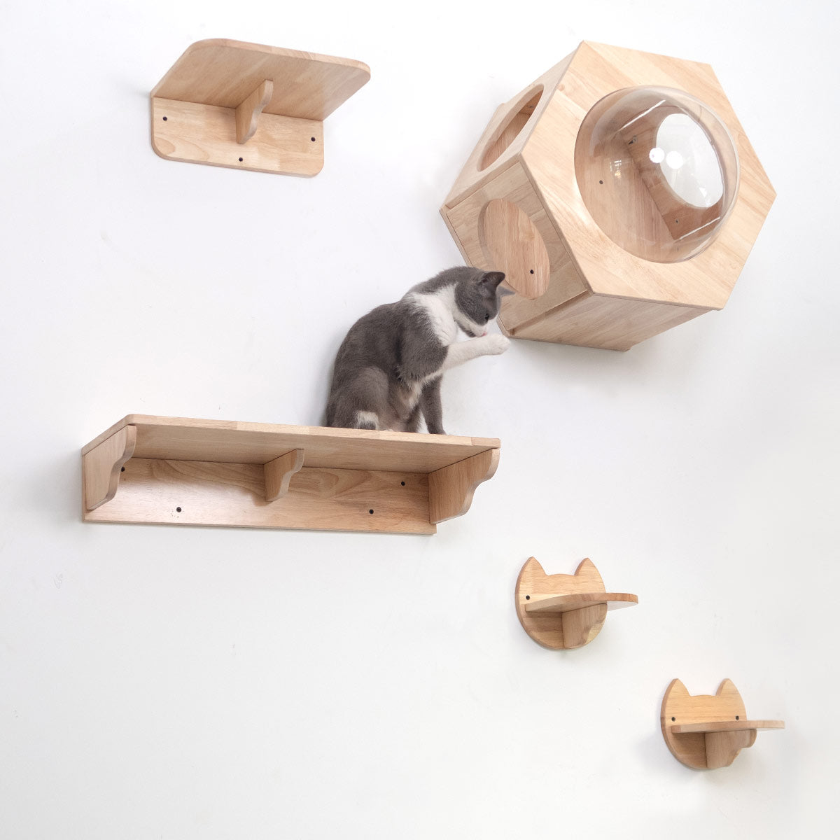 Hexagon Cat Shelf Set(Wall Mounted) | Rubber Wood