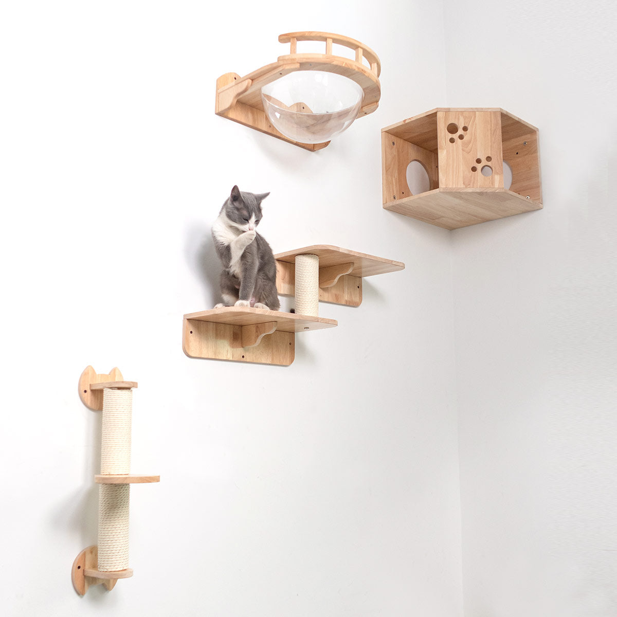 PETOMG Wall Mounted Cat Perch, Cat Wall Bed (Corner), Cat Wall Shelves ...