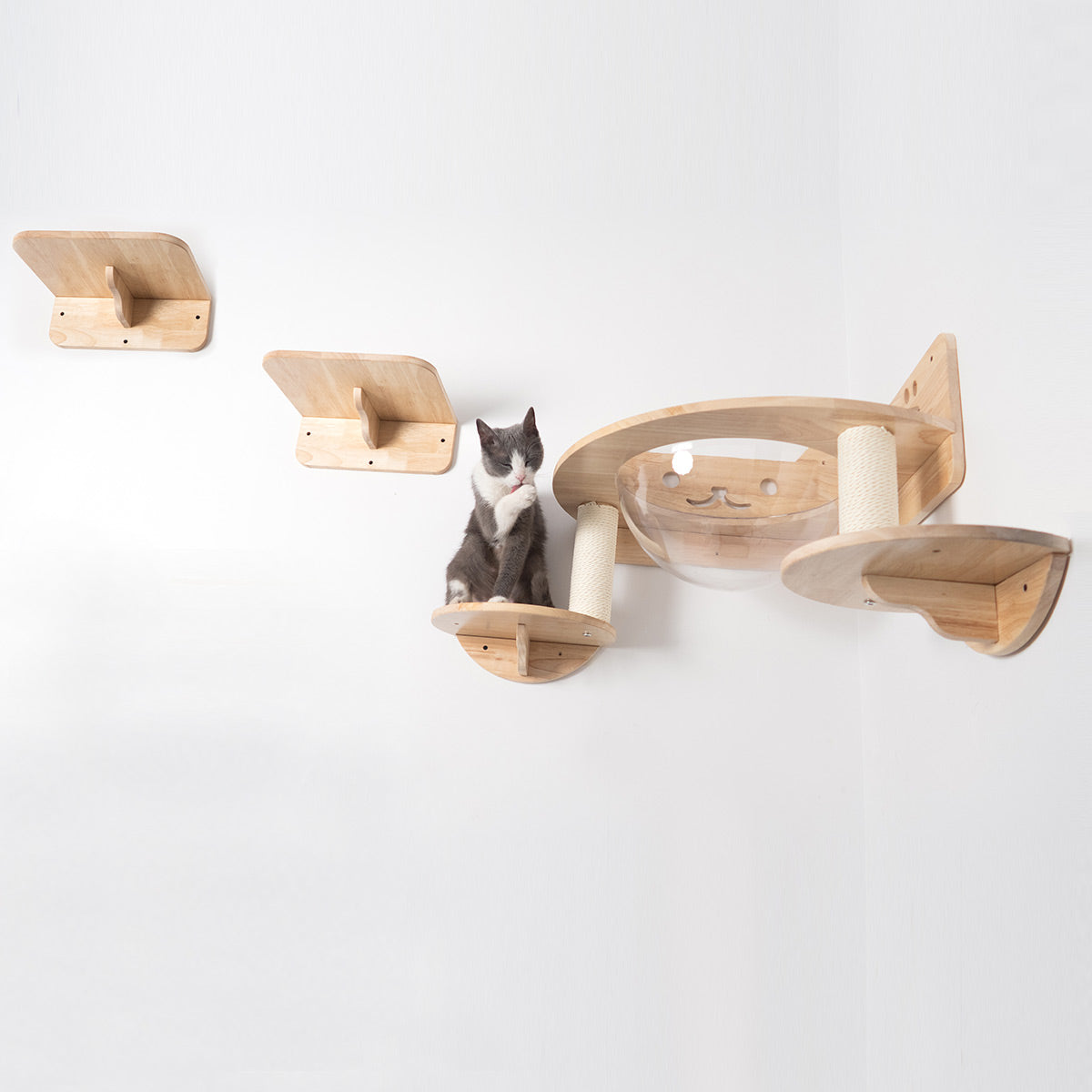 Percha para gatos montada en la pared, cápsula espacial para gatos grande