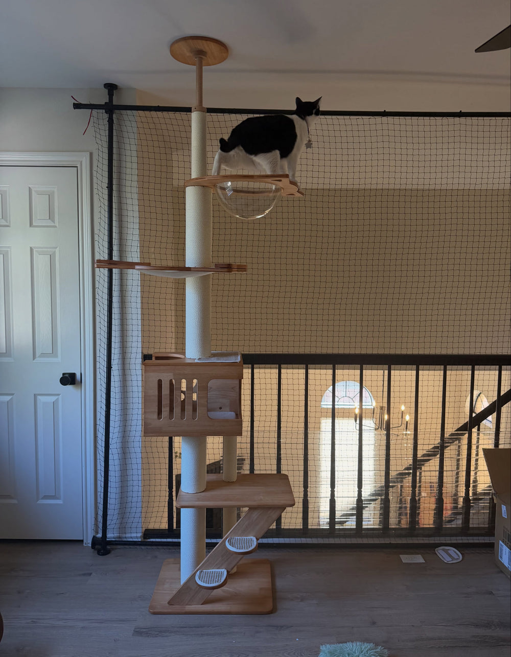 A cat on the upper perch of a floor-to-ceiling tree
