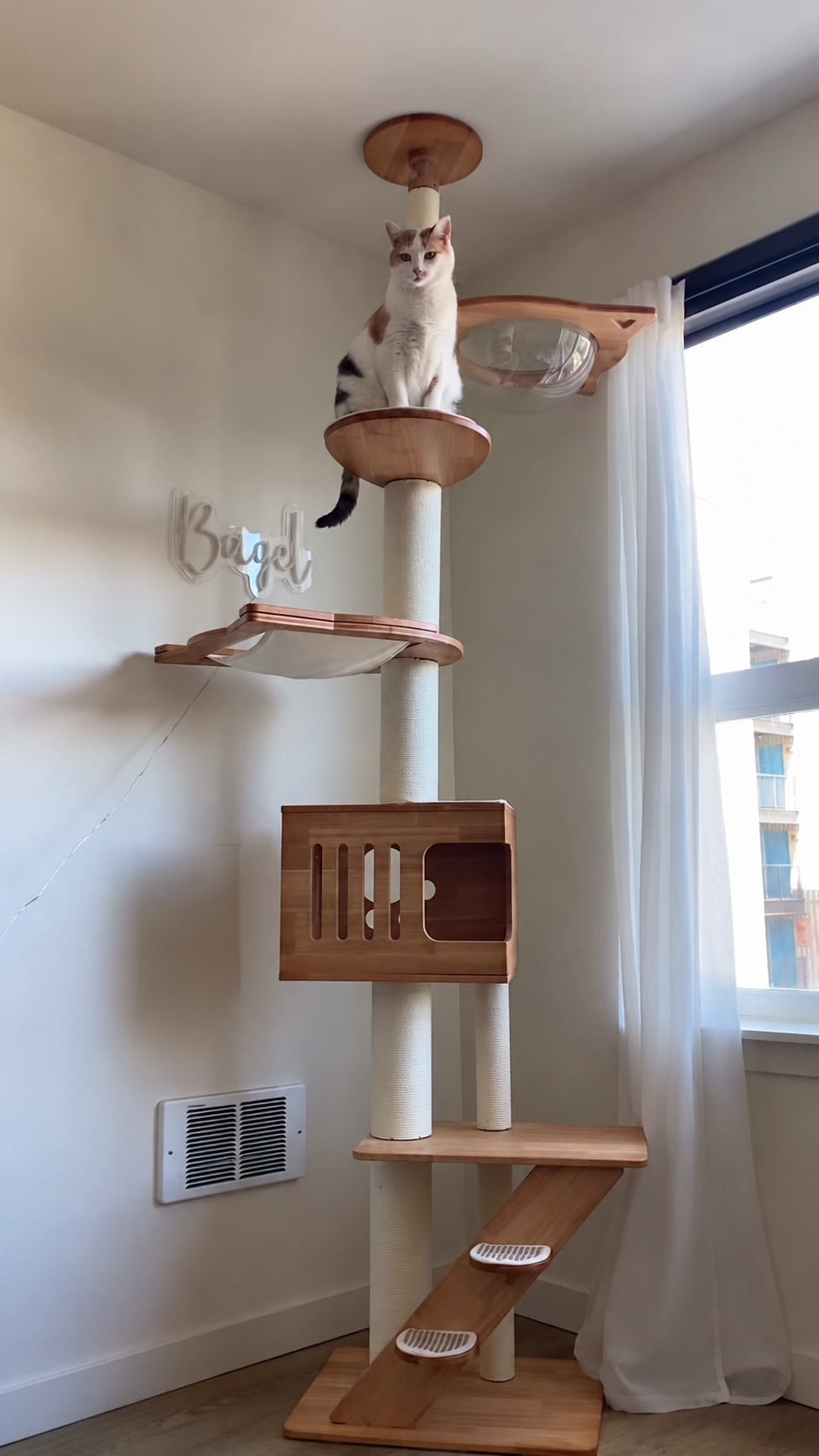A complete floor-to-ceiling cat tree with a cat on its upper perch