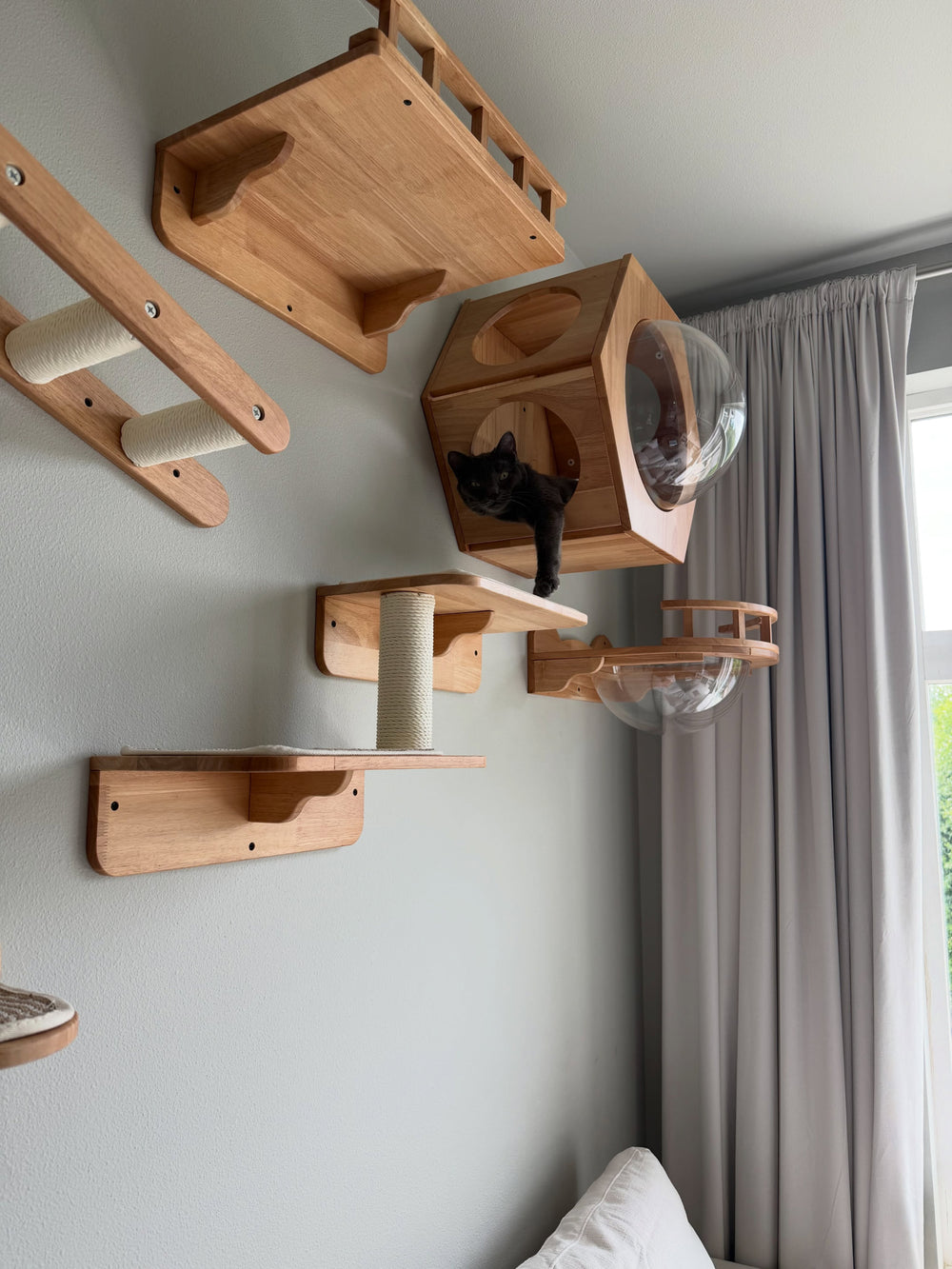 Wooden climbing steps and a bubble house beside a window