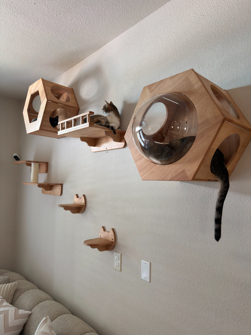 Cat wall houses and steps arranged above a sofa