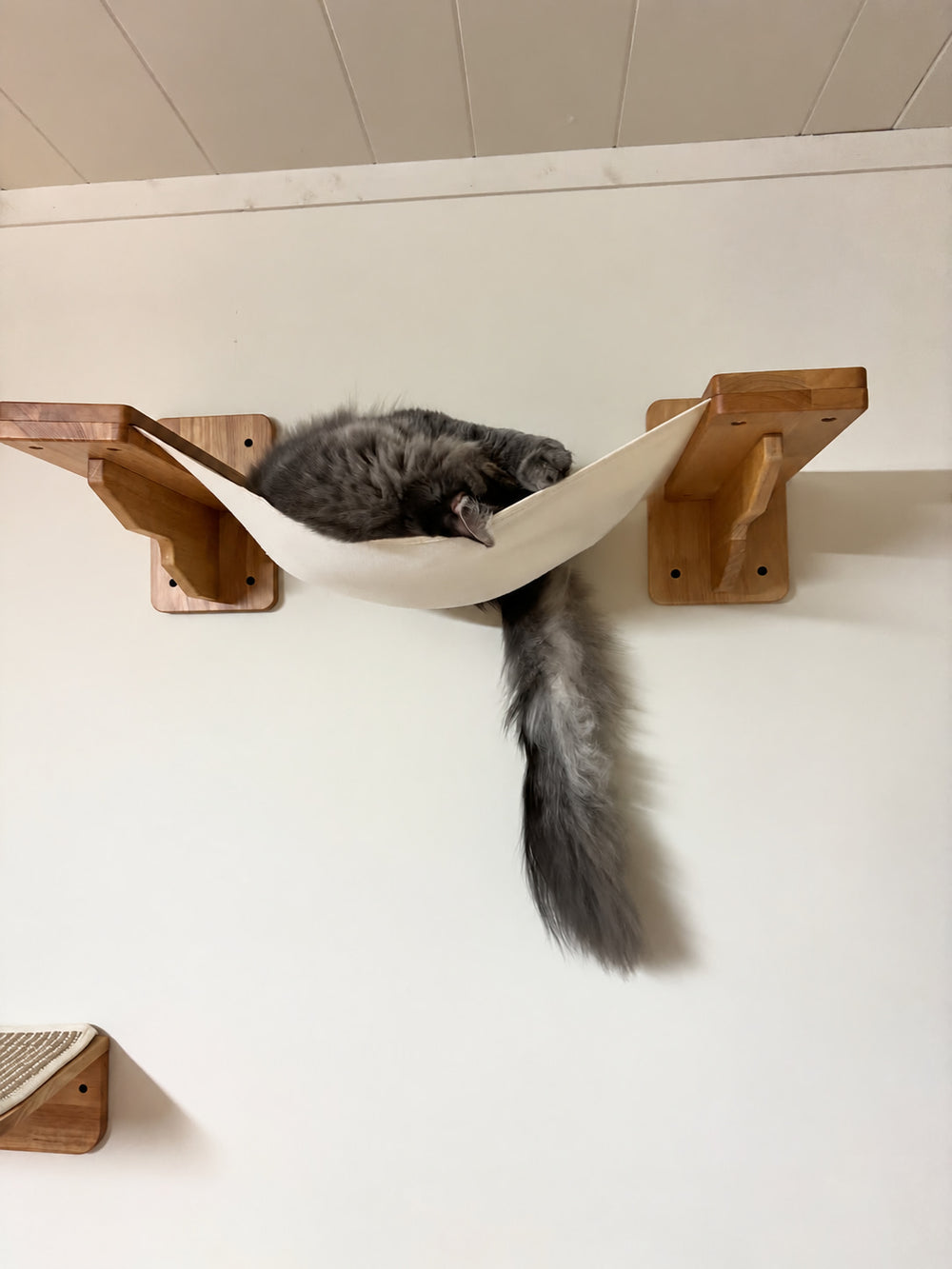 A cat resting in a fabric wall hammock