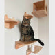 Cat Perch (Shleves) for Wall