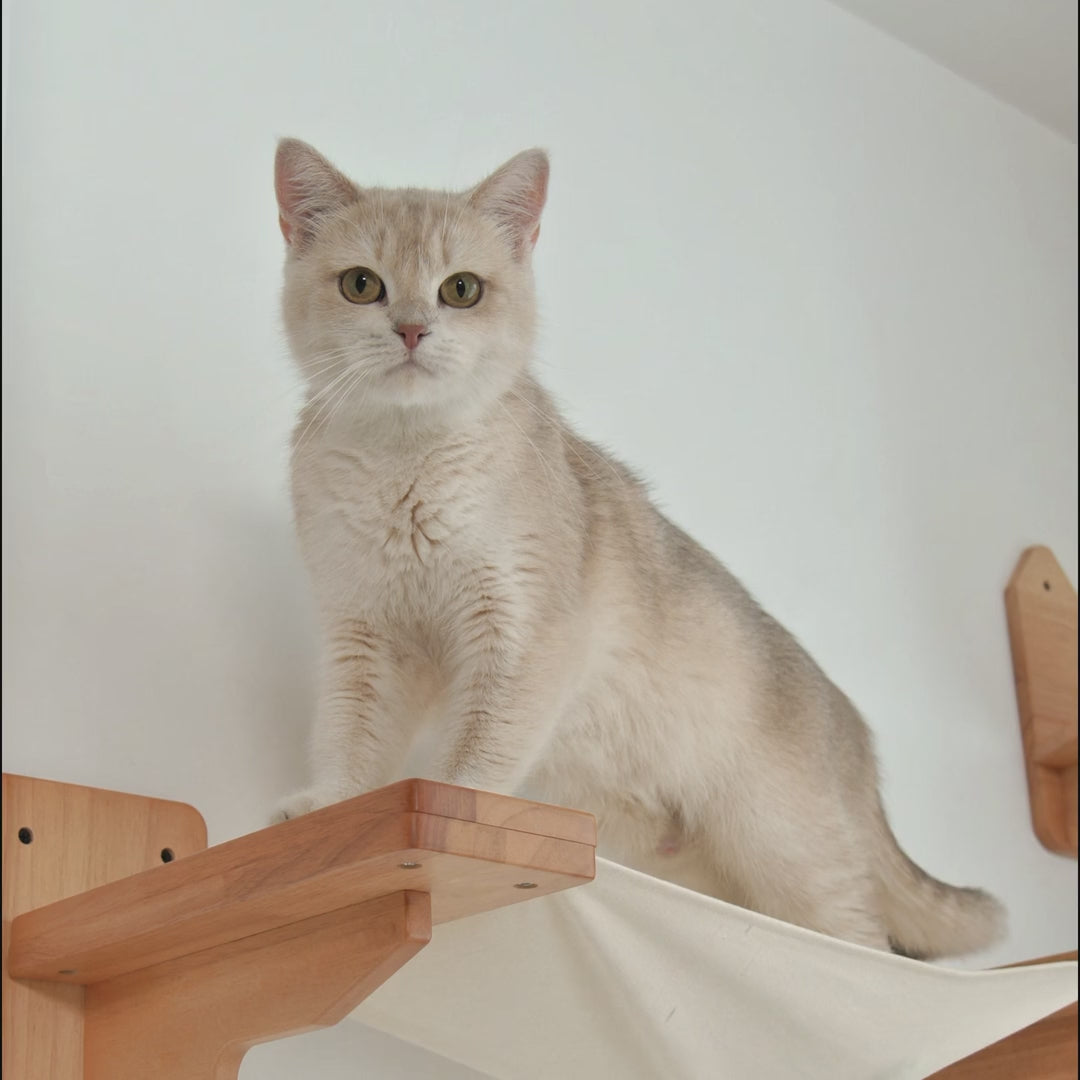 Cat Wall Hammock,CM03