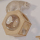 Large Hexagon Cat Wall Bubble House,CM24