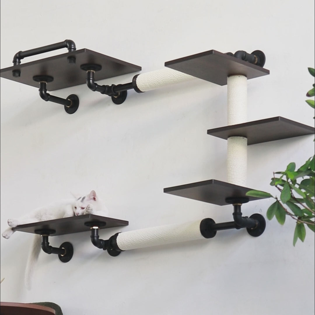 Cat Wall Shelves Set | Cat Perch & Cat Steps | Smoky Rubberwood