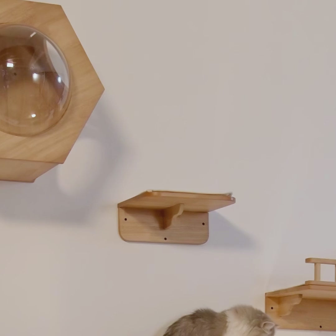 Small Cat Wall Perch,CM06