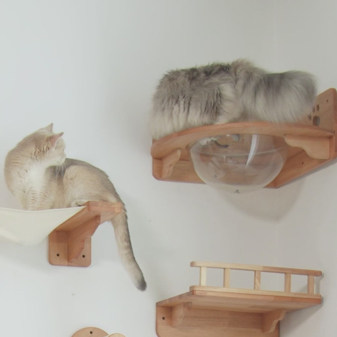 Corner Cat Wall Bubble Perch,CM29