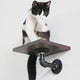 PETOMG Cat Wall Steps | Premium Wall-Mounted Cat Furniture