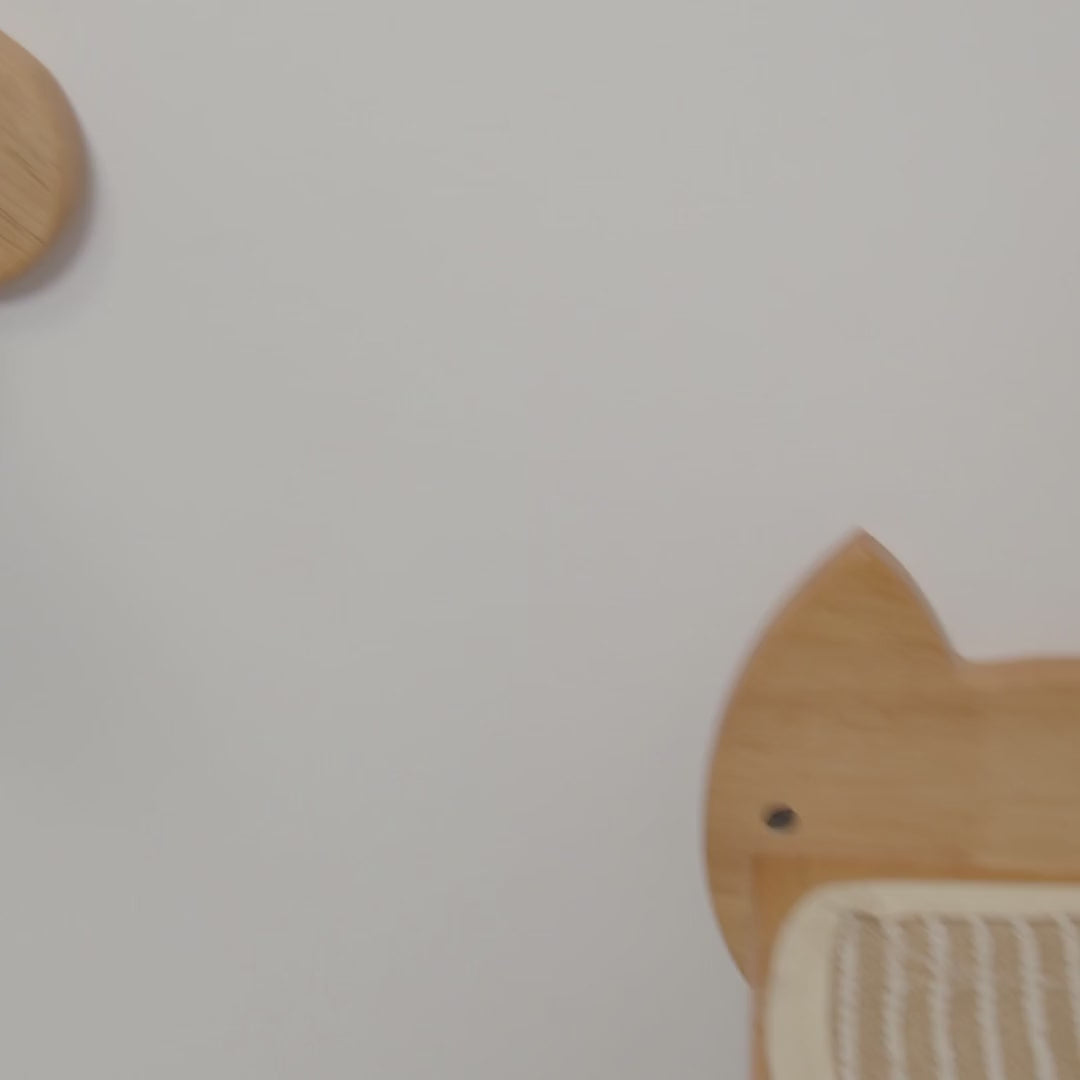 Cat Wall Ladder,CM05