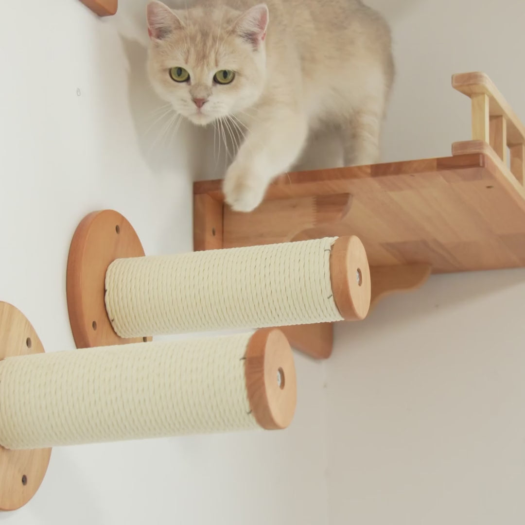 Cat Wall Scratching Posts,CM04-D