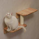 PETOMG Escalones de pared para gatos, escalera para gatos, paseos para gatos, escaladores para paredes | Madera de caucho