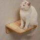 PETOMG Cat Wall Steps, Cat Shelf, Cat Ladder, Cat Walks| Rubberwood