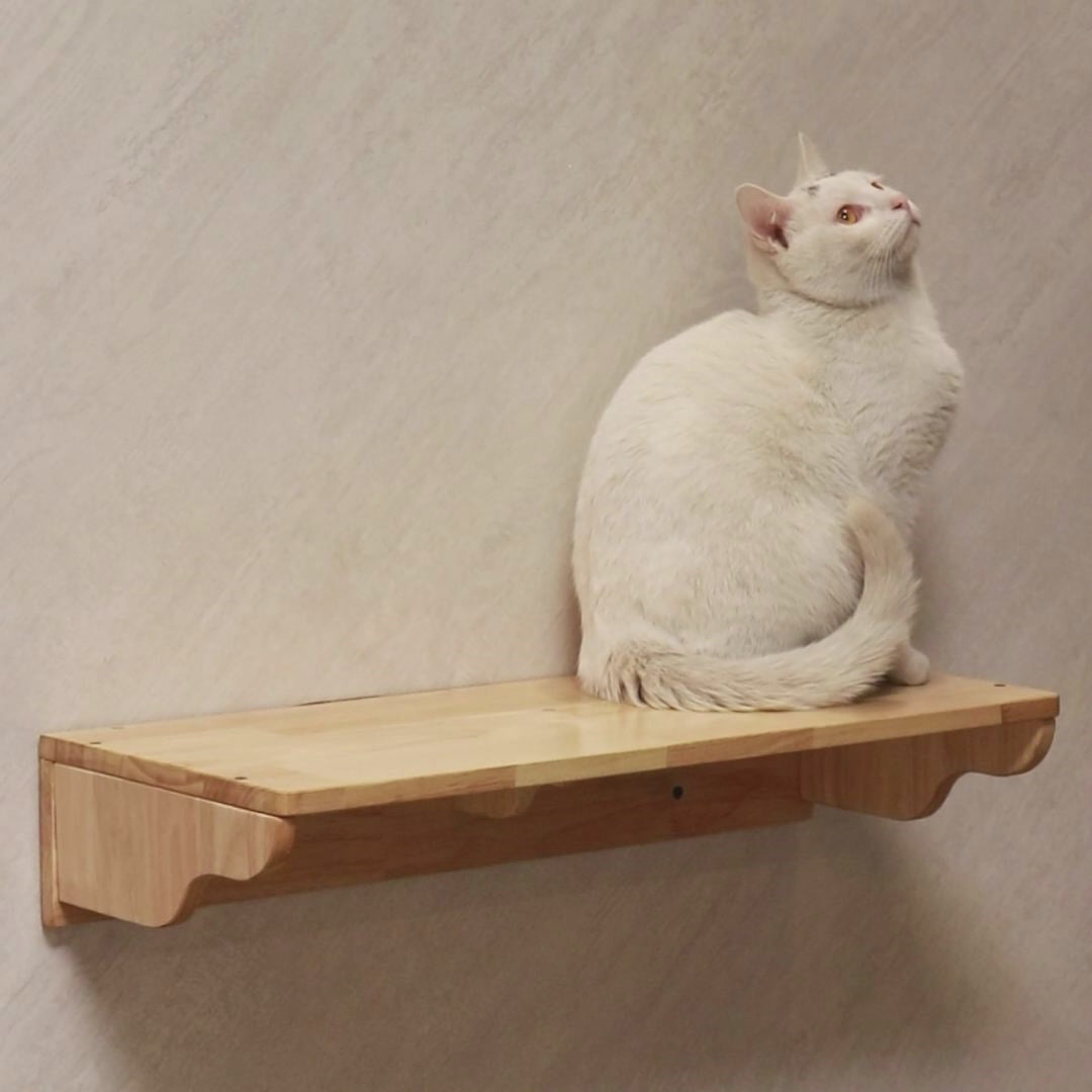 PETOMG Escalones de pared para gatos, paseos para gatos, escalera para gatos, estante de pared para gatos | Madera de caucho